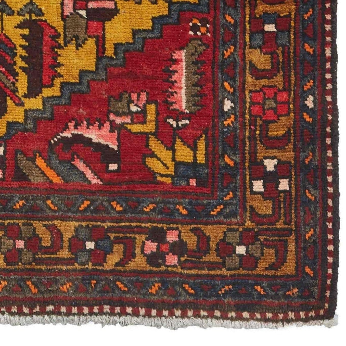 Bakhtiari Runner